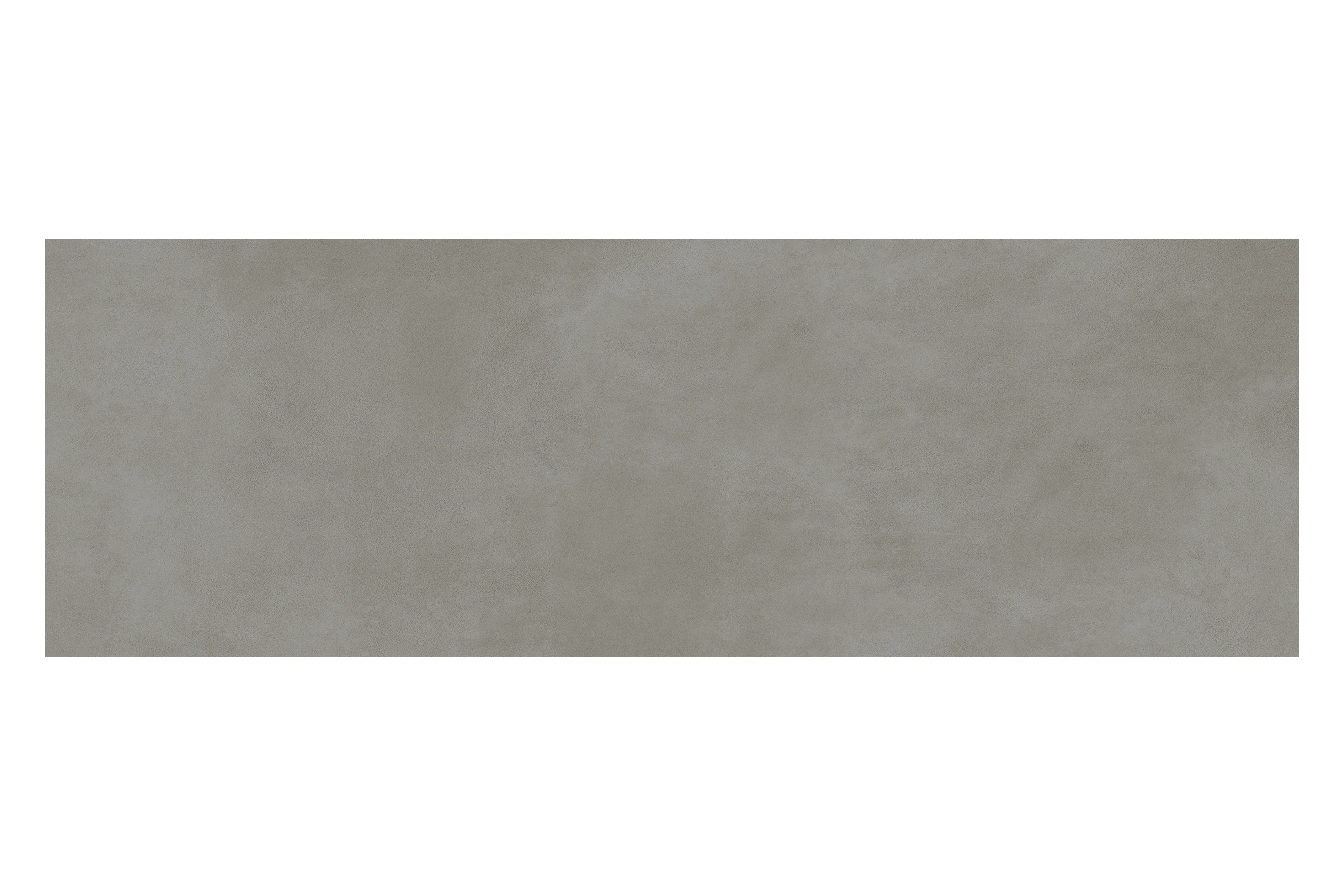 토르토라 TORTORA