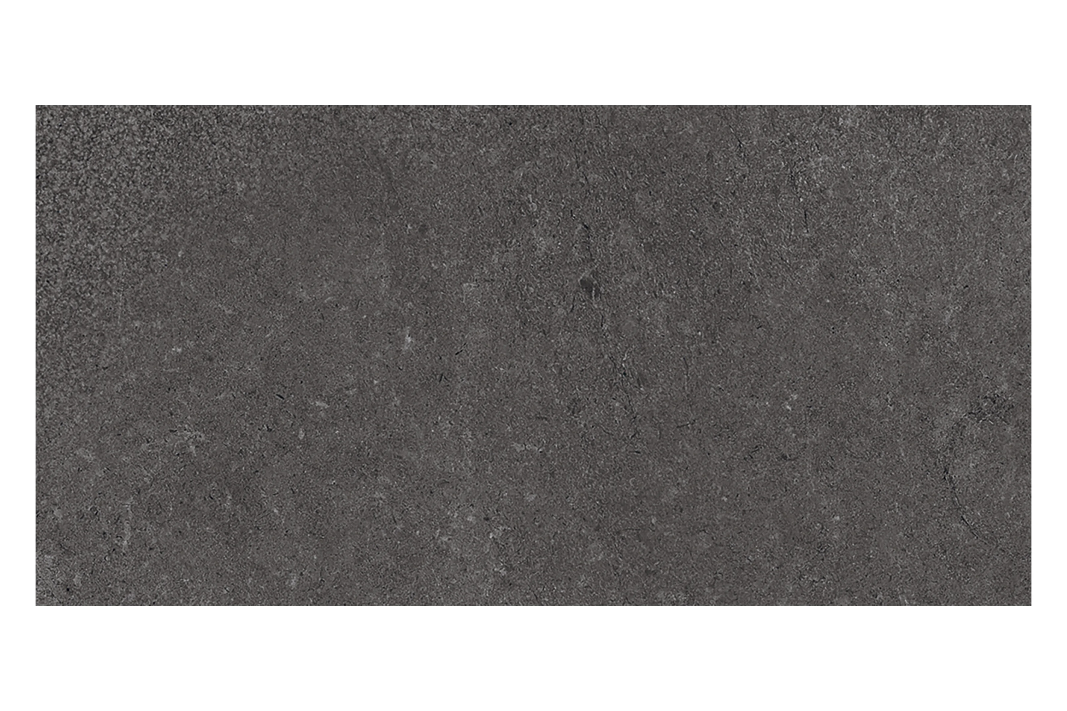 안트라시테 ANTRACITE