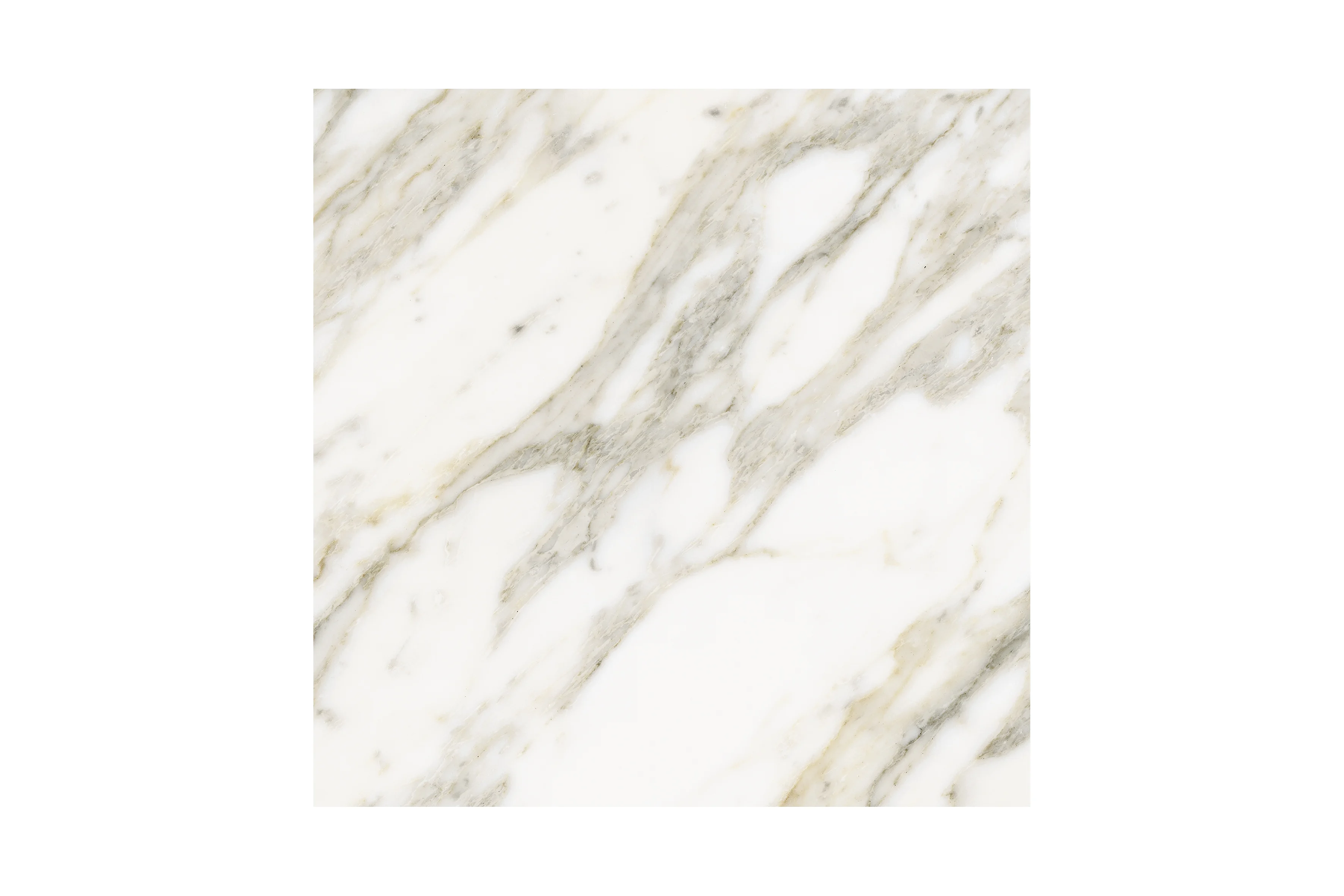 그릭 화이트 GREEK WHITE