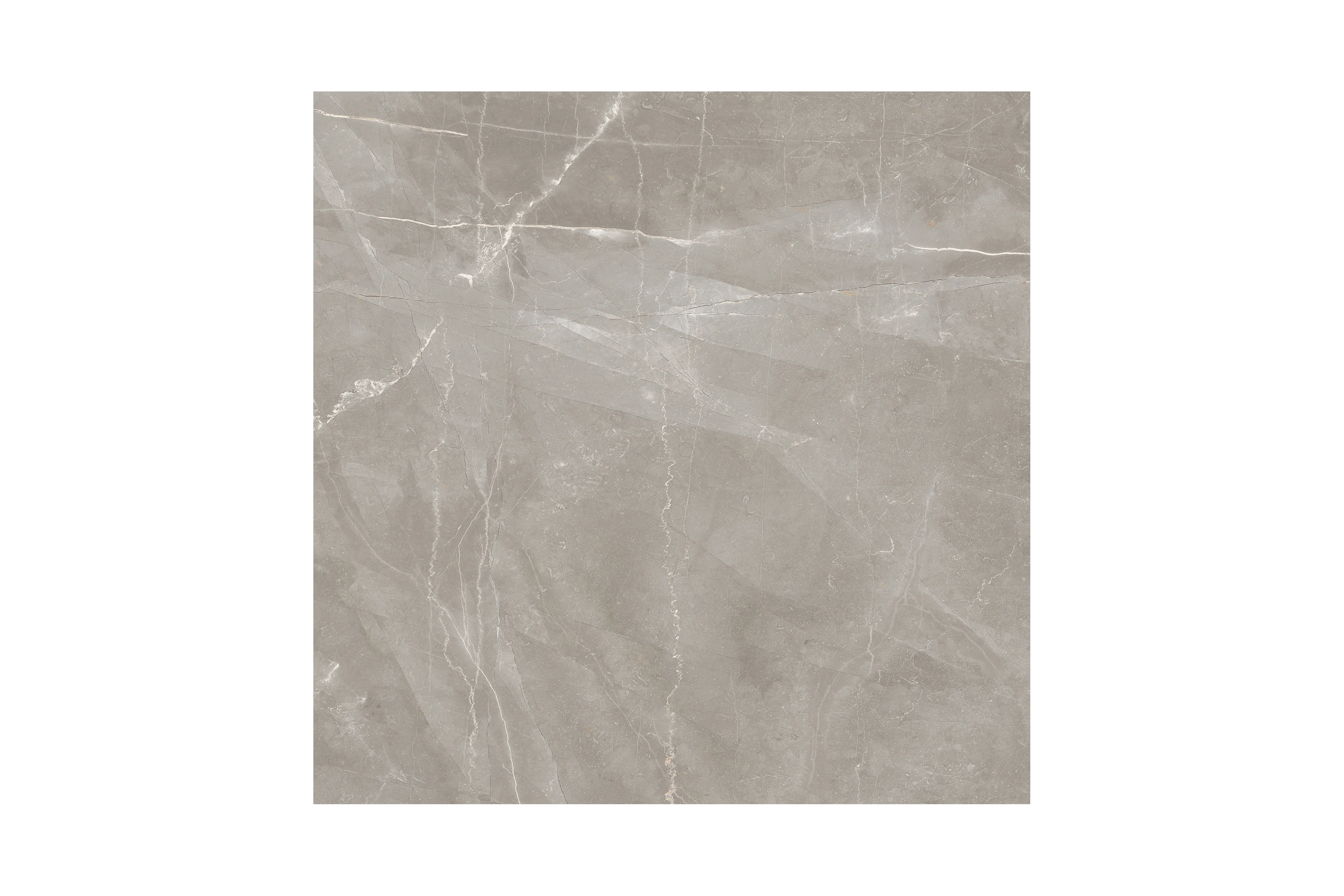 아마니 그레이 AMANI GREY