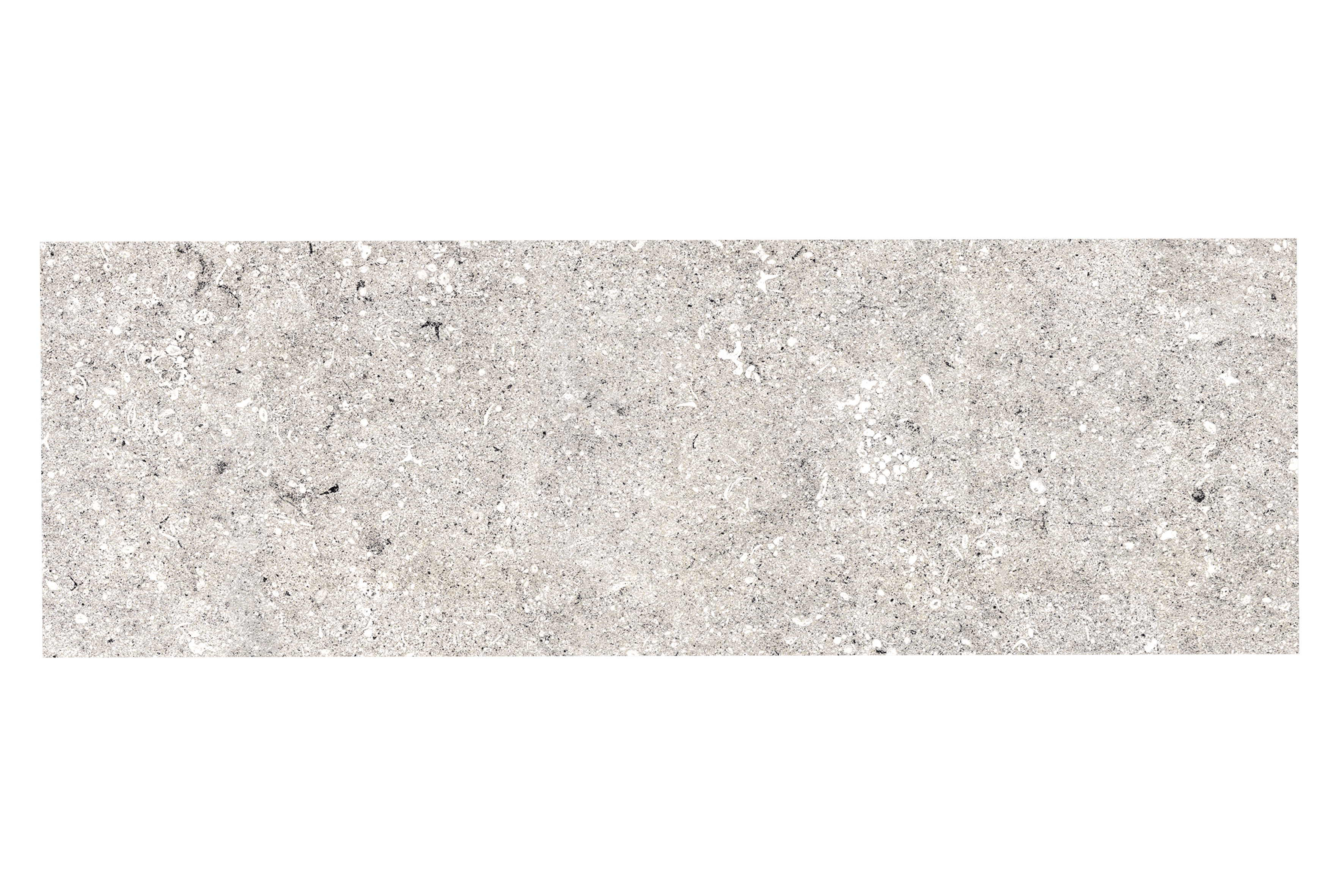 러쉬그레이 LUSH GREY