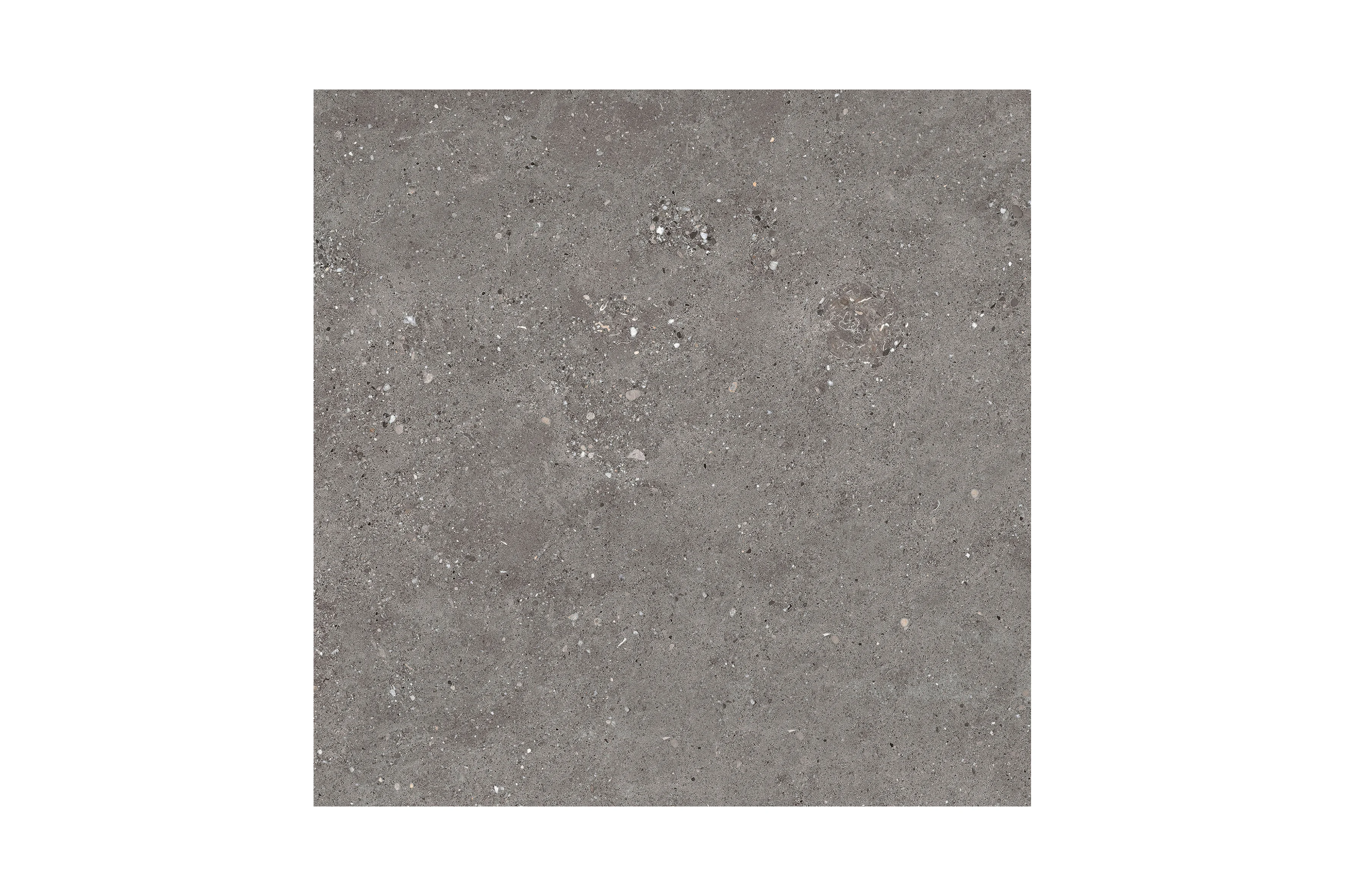 안트라시테 ANTRACITE