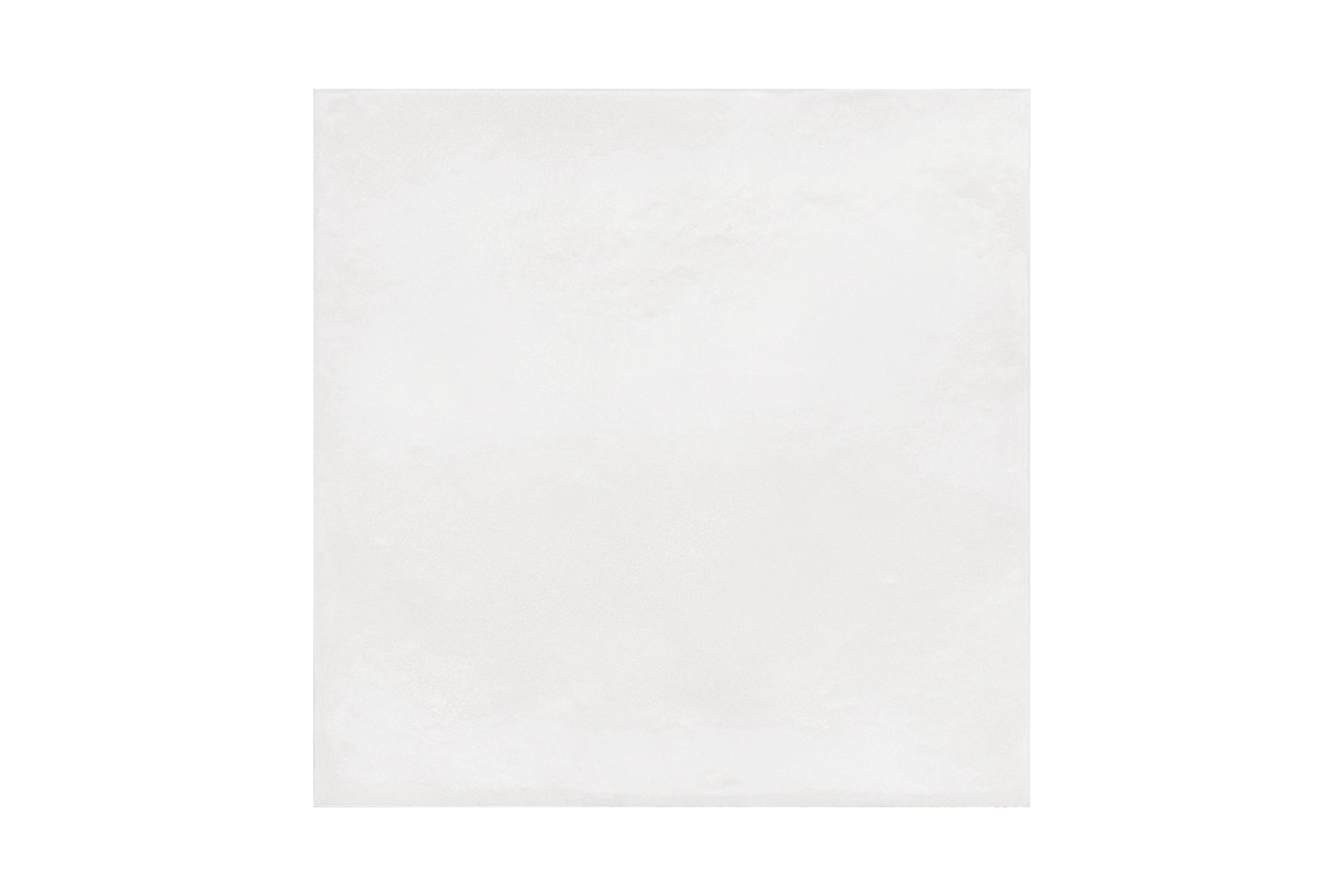 비앙코 BIANCO