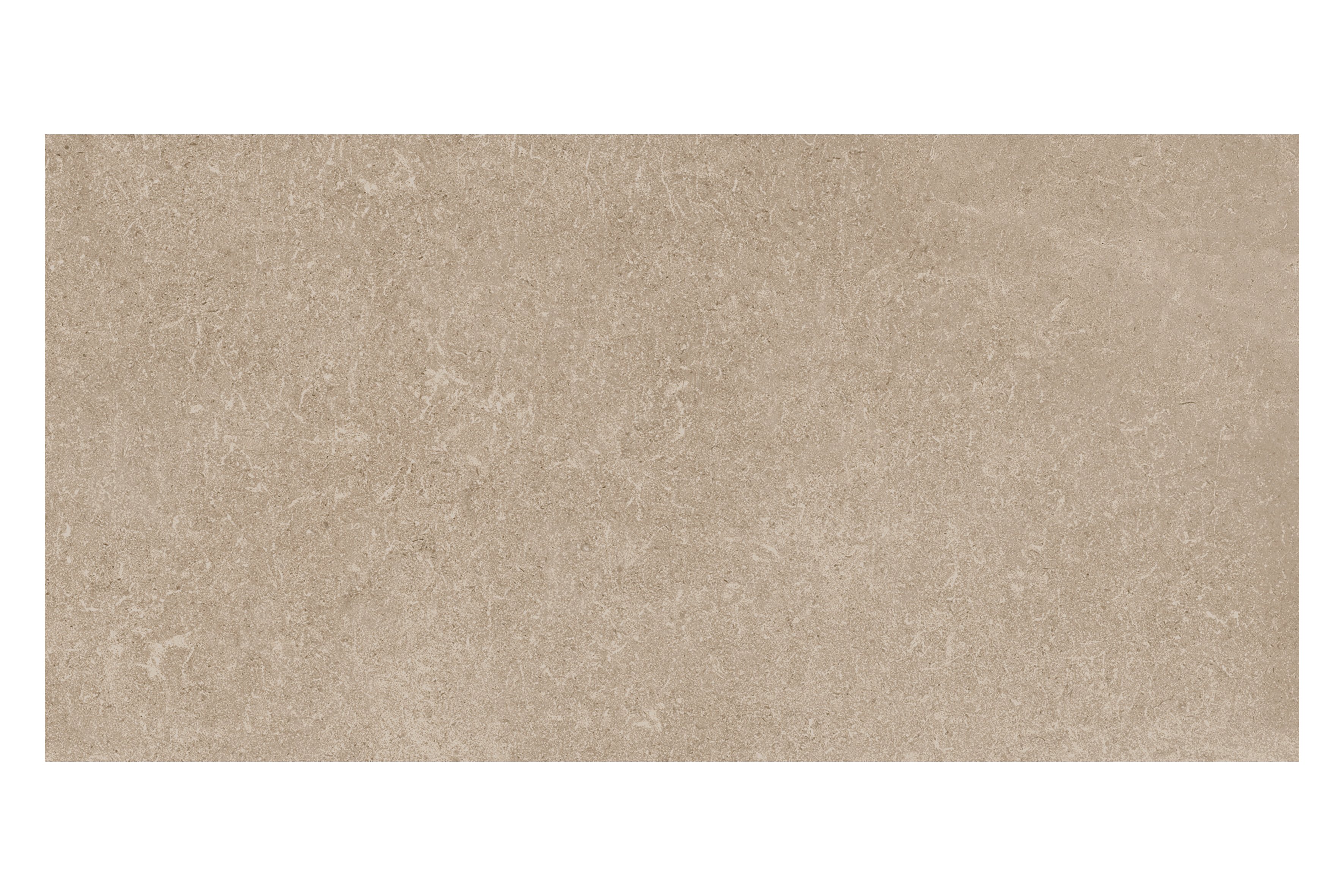 베이지 BEIGE
