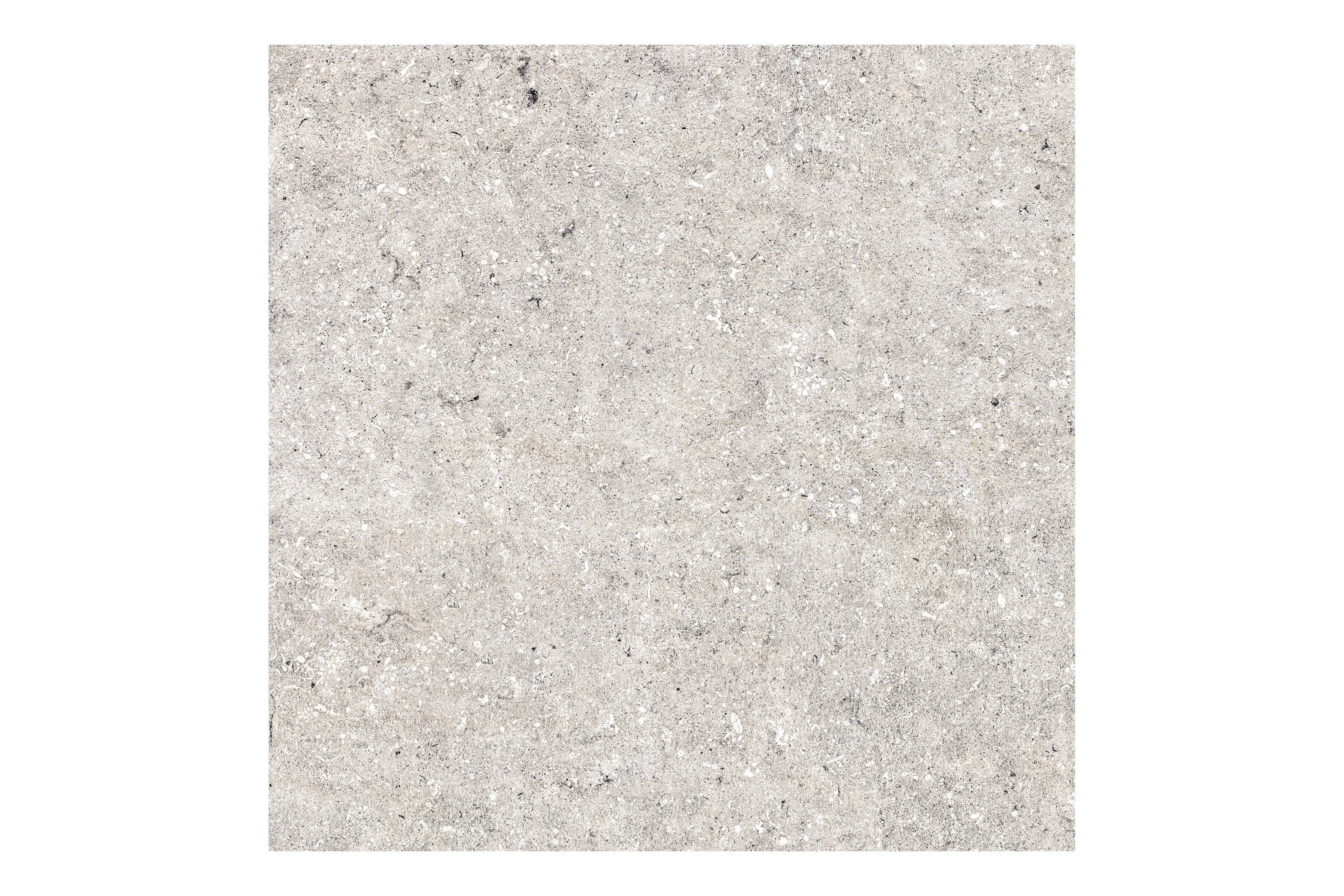 러쉬그레이 LUSH GREY