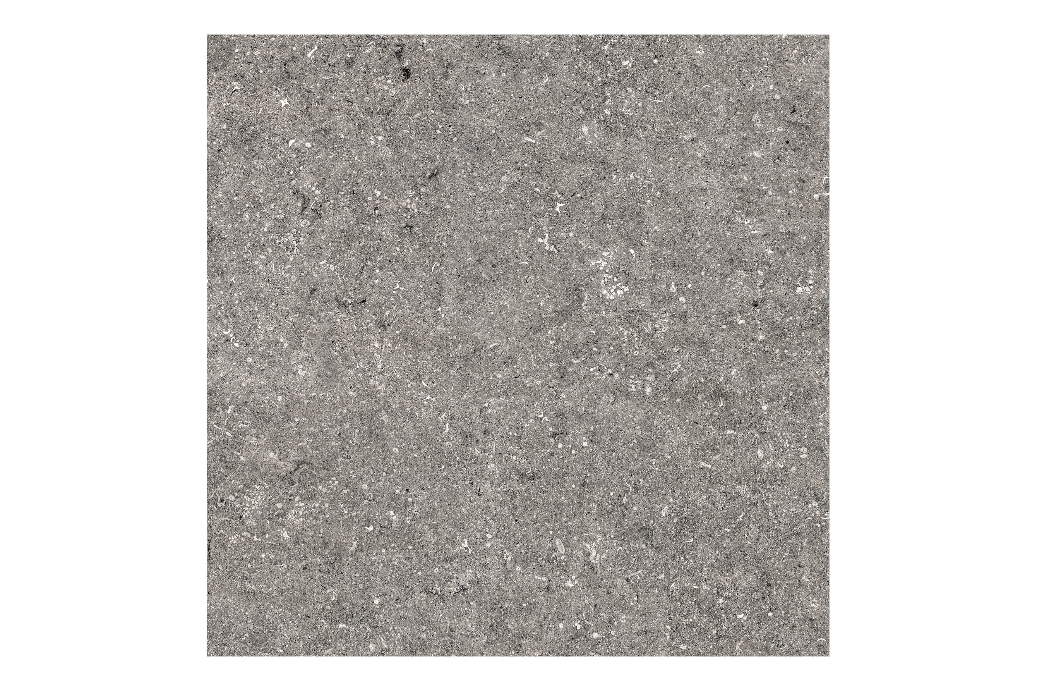 다크그레이 DARK GREY