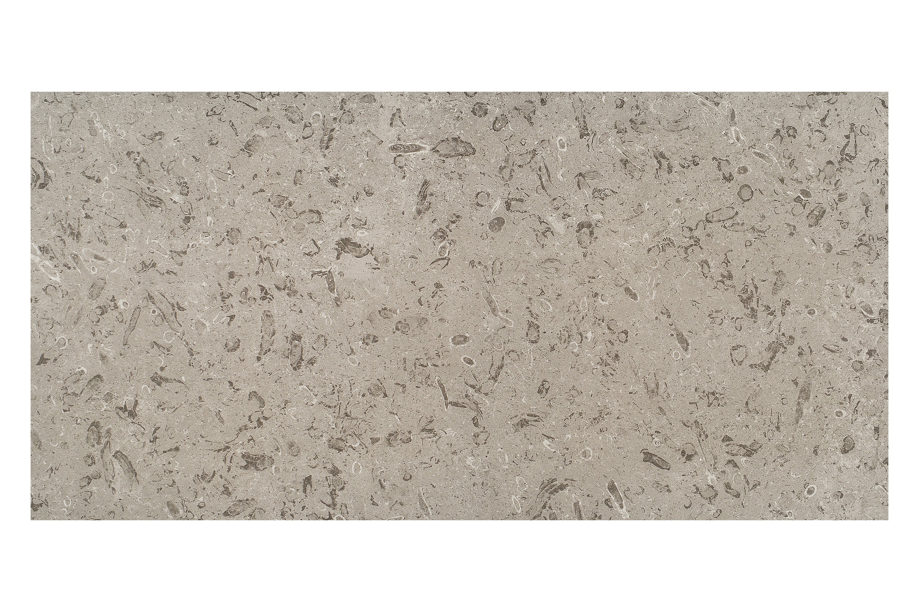 쉘 스마트 그레이 SHELL SMART GREY