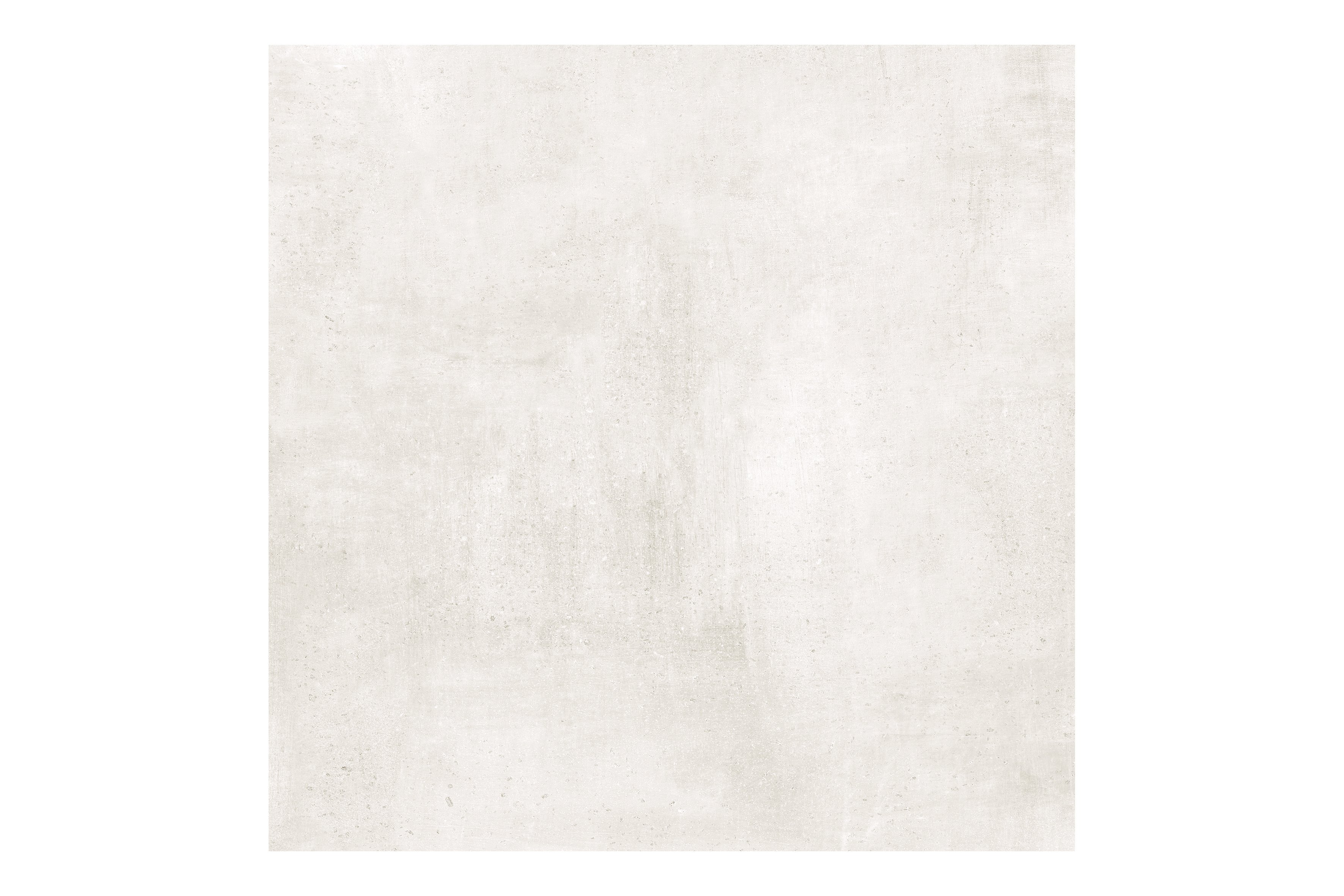 화이트 WHITE