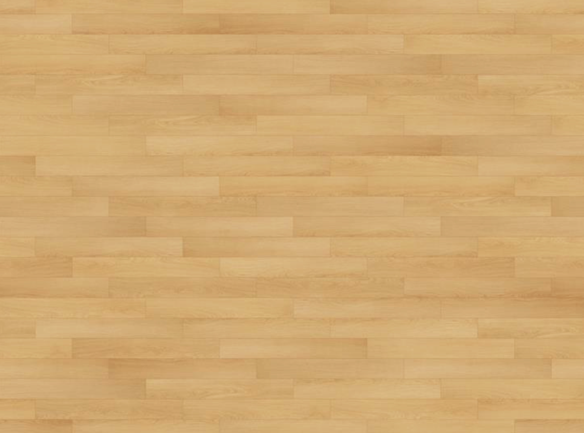 그랜드 스테디 165 GRAND STEADY 165