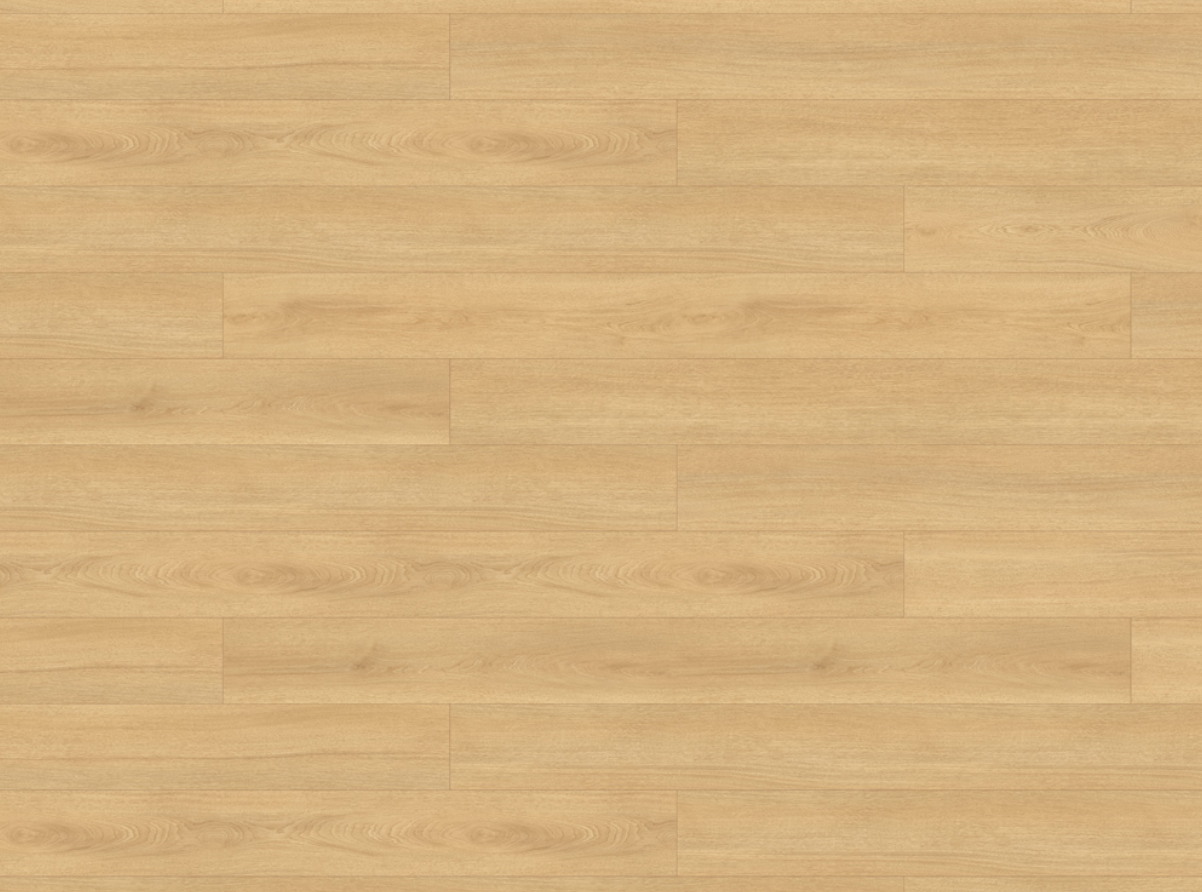 엘리엇 오크 ELIET OAK