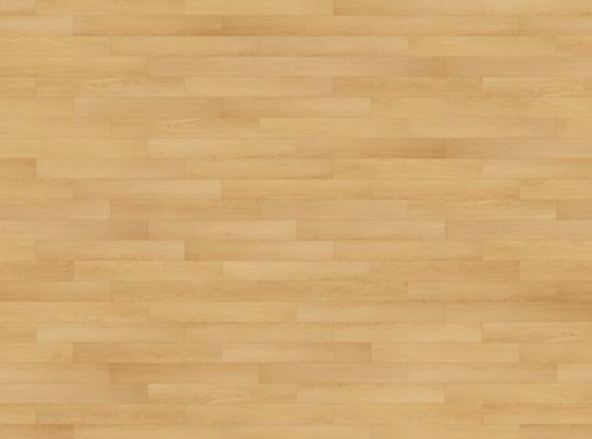 그랜드 스테디 142 GRAND STEADY 142